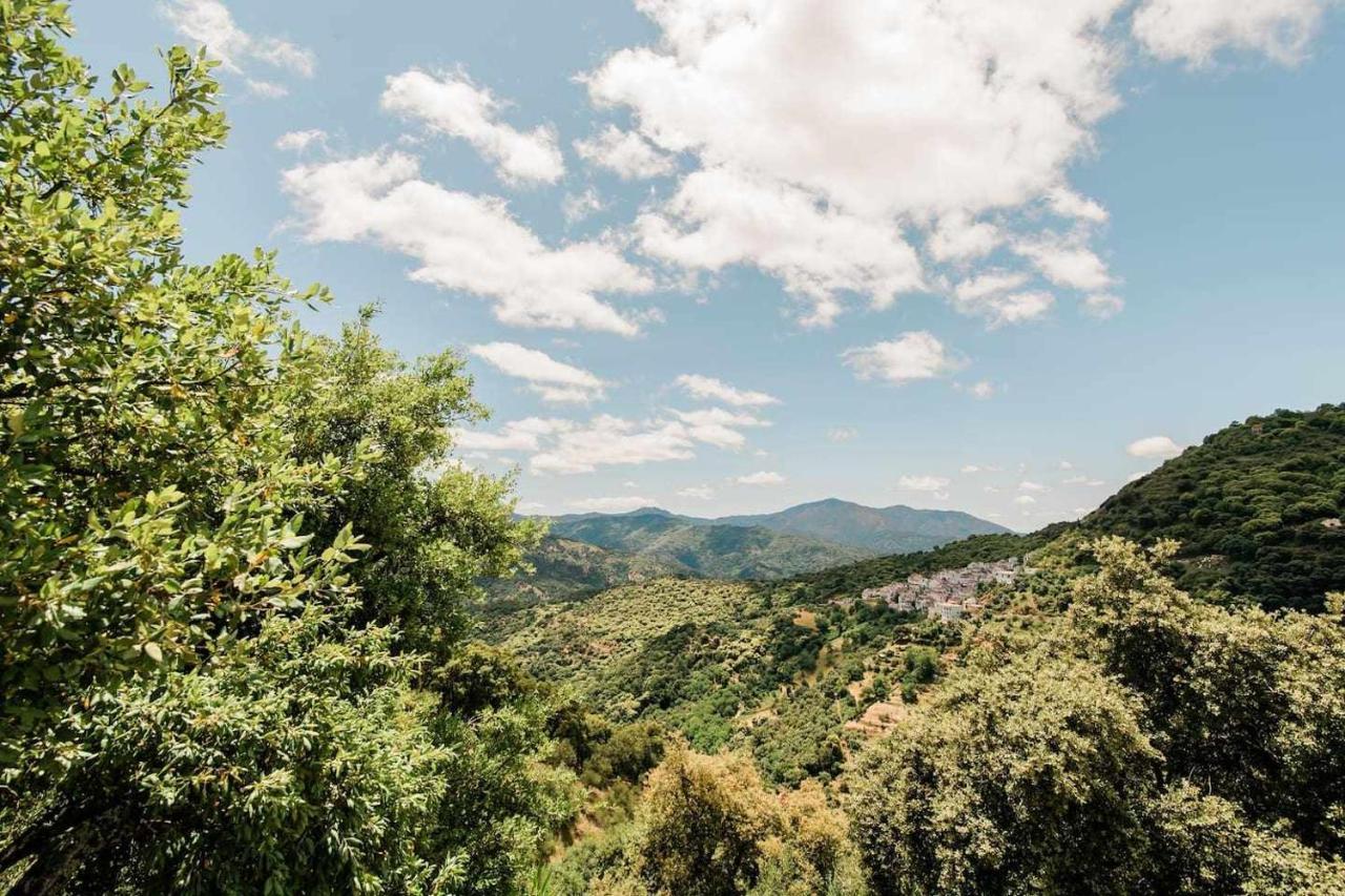 Casa El Chaparral Songbird Mountain Daire Benadalid Dış mekan fotoğraf